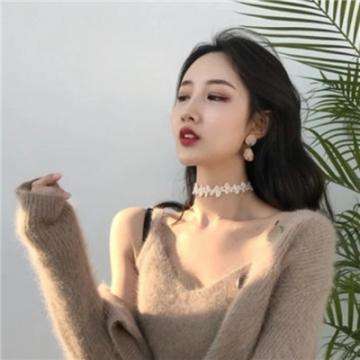 贪吃蛇吃鸡大战下载